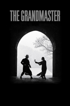 The Grandmaster (2013) download