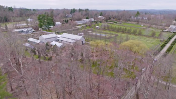 The Great American Tag Sale with Martha Stewart (2022) download