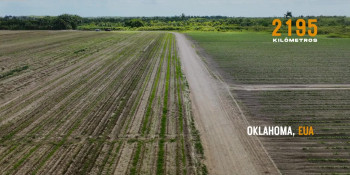 The Guardian of the Monarchs (2024) download