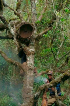 The Harvesters (2018) download