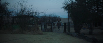 The Harvesters (2018) download