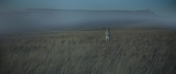 The Harvesters (2018) download