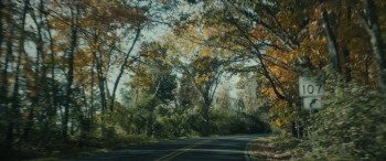 The Haunted Forest (2025) download