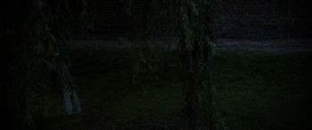 The House of Screaming Death (2017) download