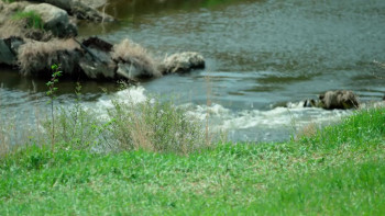 The House on Sweet and Seventh (2020) download