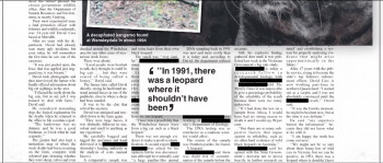 The Hunt: In Search of Australia's Big Cats (2020) download