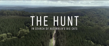 The Hunt: In Search of Australia's Big Cats (2020) download