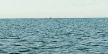 The Hunted (2024) download