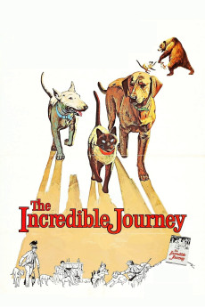 The Incredible Journey (1963) download
