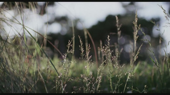 The Inner Life of Martin Frost (2007) download