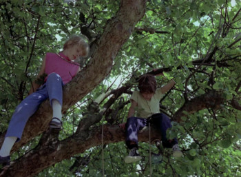 The Insomniac (1971) download