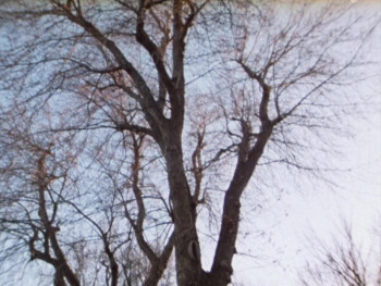 The Instructor (1981) download