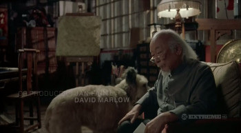 The Karate Dog (2005) download