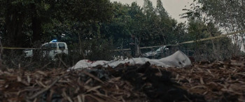 The Lake (2022) download