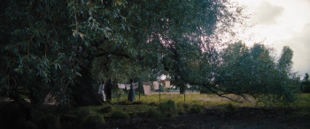 The Last Front (2024) download