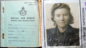 The Last Goldfish (2017) download