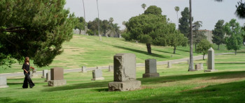 The Last Letter (2013) download