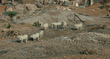 The Little Girl Who Sold the Sun (1999) download