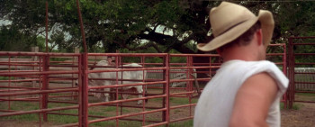 The Locusts (1997) download