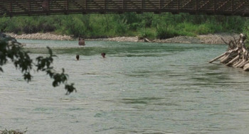 The Maiden (2022) download