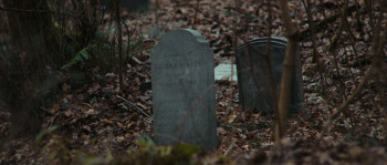 The Man in My Basement (2025) download