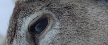 The Manhattan Project (2022) download