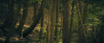 The Marsh King's Daughter (2023) download