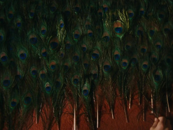 The Metamorphosis of Birds (2020) download