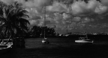The Miami Story (1954) download