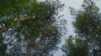 The Mission (2022) download