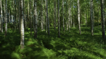 The Mission (2022) download