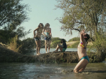 The Mysterious Gaze of the Flamingo (2025) download