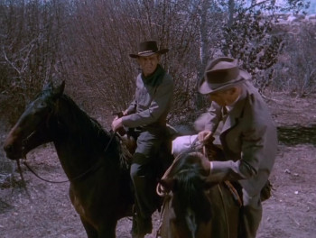 The Nevadan (1950) download