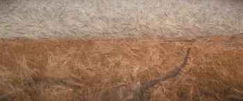 The New Boy (2023) download