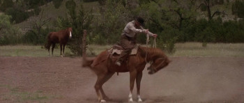 The Newton Boys (1998) download