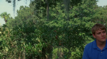 The Novice (2006) download