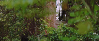 The Old Ways (2020) download