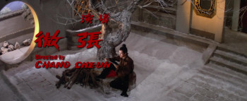 One-Armed Swordsman (1967) download