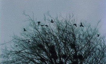 The Outcasts (1982) download