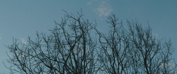 The Pack (2015) download