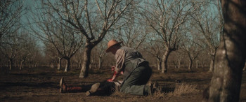 The Perfect Hand (2023) download