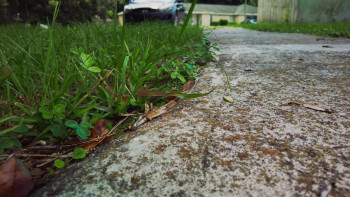 The Perfect Neighbor (2025) download