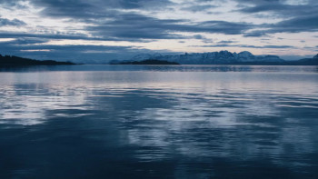 The Perfect Story (2022) download