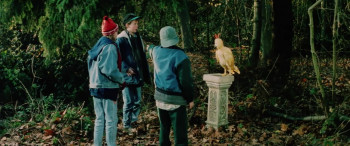 The Phoenix and the Magic Carpet (1995) download