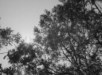 The Plastic Dome of Norma Jean (1966) download