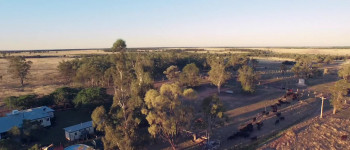 The Pretend One (2018) download