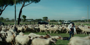 The Prophecy of the Armadillo (2018) download