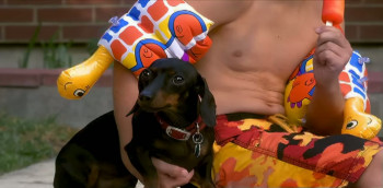 The R.M. (2003) download