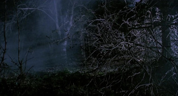 The Raggedy Rawney (1988) download