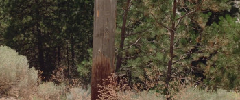 The Rainbow Boys (1973) download